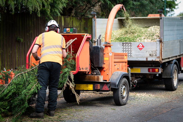 Tree Service Company in Lyons, KS